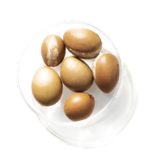 HUILE D'ARGAN