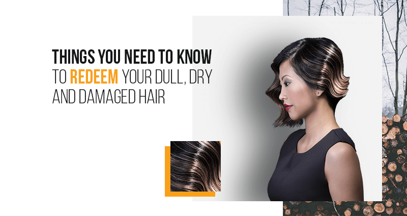 How To Stop Dry Hair From The Dry Winter Damage!