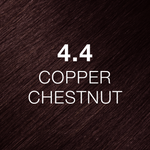 4.4 Châtain Cuivré