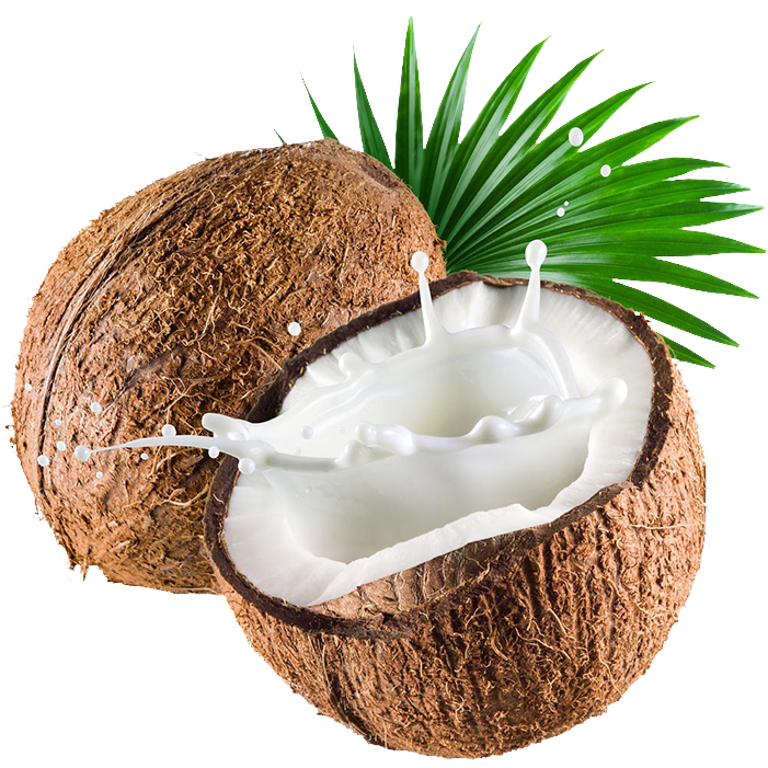 
Coconut
