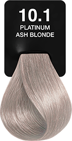 10.1 Platinum Ash Blonde