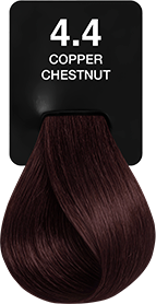 4.4 Copper Chestnut