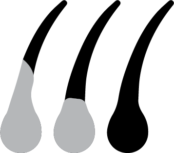 block.settings.icon-text2