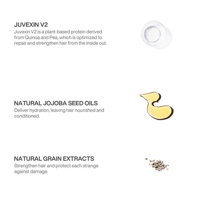 Moisture Adiction Ingredient: Juvexin V2, Natural Jojoba Seed Oils and Natural Grain Extracts