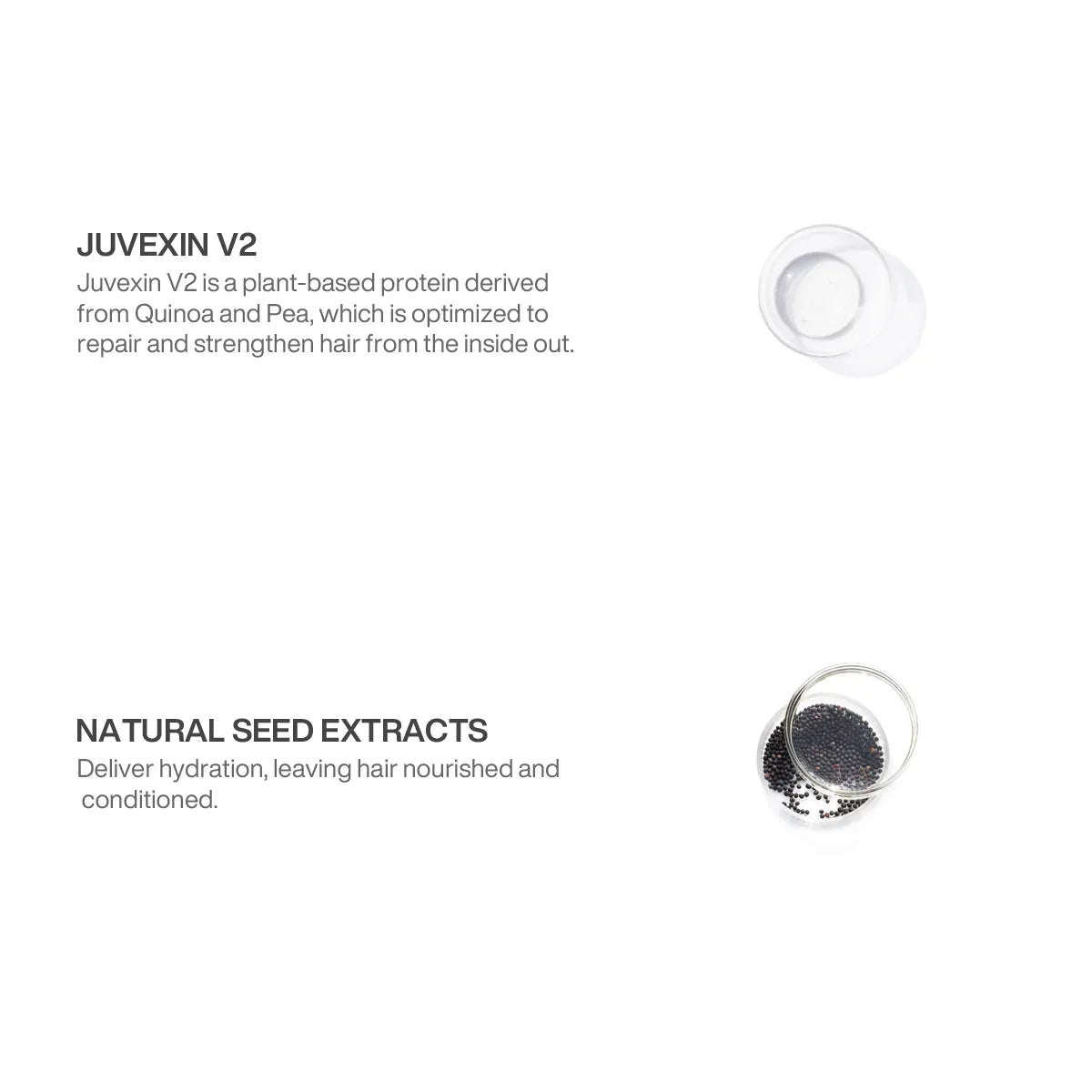 Trioxxy Hair Treatment Ingredients Containing Juvexin V2 and NAtural Seed Extracts with a White Background